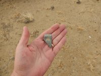 DSCN1637  Stone in the shape of Nevada. I win.