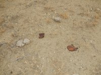 DSCN2583