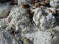 P1010346