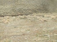 DSCF2624