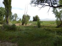 DSCN2061