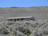 DSC 2773  Newish house