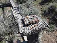 DSC 2938  Might stand a coat of paint