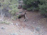 20150321 101136  On the road to the Petersen mine and Arctic Mine