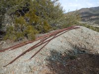 DSCN3396  Rails outside the Star of the West mine