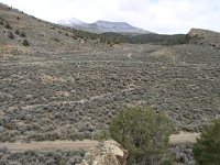 P1010190