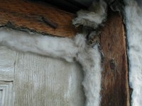 P1010351