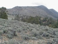 P1010356