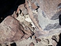 20130928 141449  Wood near the door frame