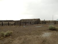 DSCN6678