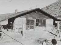 Home in Johnnie, Nevada. A woman stands to the left with a small dog outside under the porch.  Home in Johnnie, showing woman and dog, taken sometime in the 1940's or 1950's. Courtesy UNLV
