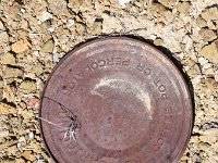 DSC 4828  Gotta have coffee