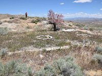 DSC 4855  Odd circular "planters" in this little "garden" area.
