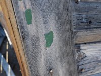 DSC 4909  This building used to be green.