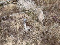 DSC 4929  Pipes in the ground- water was coming from a well somewhere.