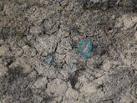 DSC 0870