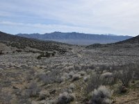 DSC 0912