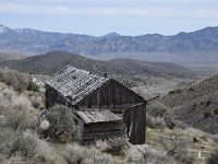 DSC 0966