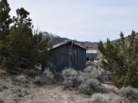 DSC 0984