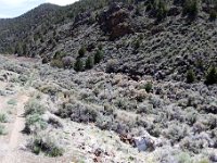 panorama  Looking east up the canyon with the mill ruins behind us