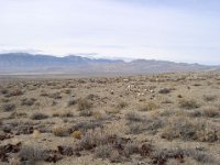 PB080004