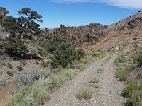 20160709 105606  About the only level stretch of road