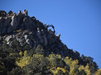 DSC 9511  Chemung and Masonic September 2017