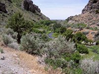 bishop creek-NDEP  Bishop Creek, courtesy NDEP