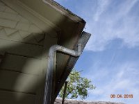 DSC 4838  Loving the gutters