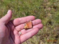 DSC 4868  Shard of pottery from the old ranch site north of Olinghouse up Jones Canyon