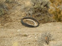 DSCN2627  Old tire in the ravine.