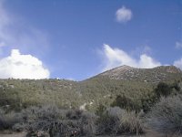 P1010036