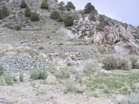 P5030028