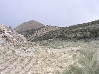 P5030030