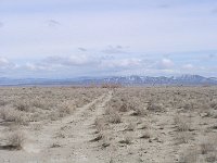 P1010013  The Pony Express Trail looking east from Carson Sink Station