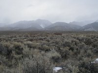 P1010294  Cold Springs