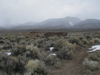 P1010295  Cold Springs