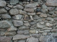 P1010298  Cold Springs