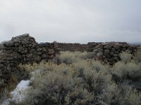 P1010311  Cold Springs