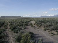 P5140078  Jacobsville