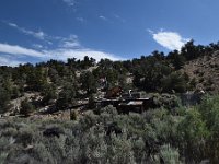 DSC 4675