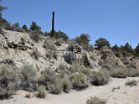 DSC 4846