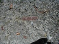 P1010269