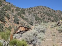 DSC 0534  This one has already collapsed