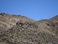 DSC 0625  Electric poles stand ready