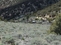 DSC 3716