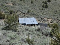 DSC 3731