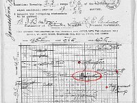 0561  Post Office application for Jamestown, with map showing neighboring communities of Wellington, Wilson's Camp, and Trappman's Camp