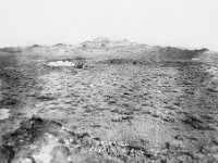 View of Gold Reed 1905 UNLV  A view of Gold Reed in 1905. Courtest ULV