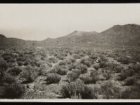 West view of Groom Mine 1910 1930 UNLV  A view of the Groom Mine from a long way away, sometimes between 1910 and 1930. Courtesy UNLV